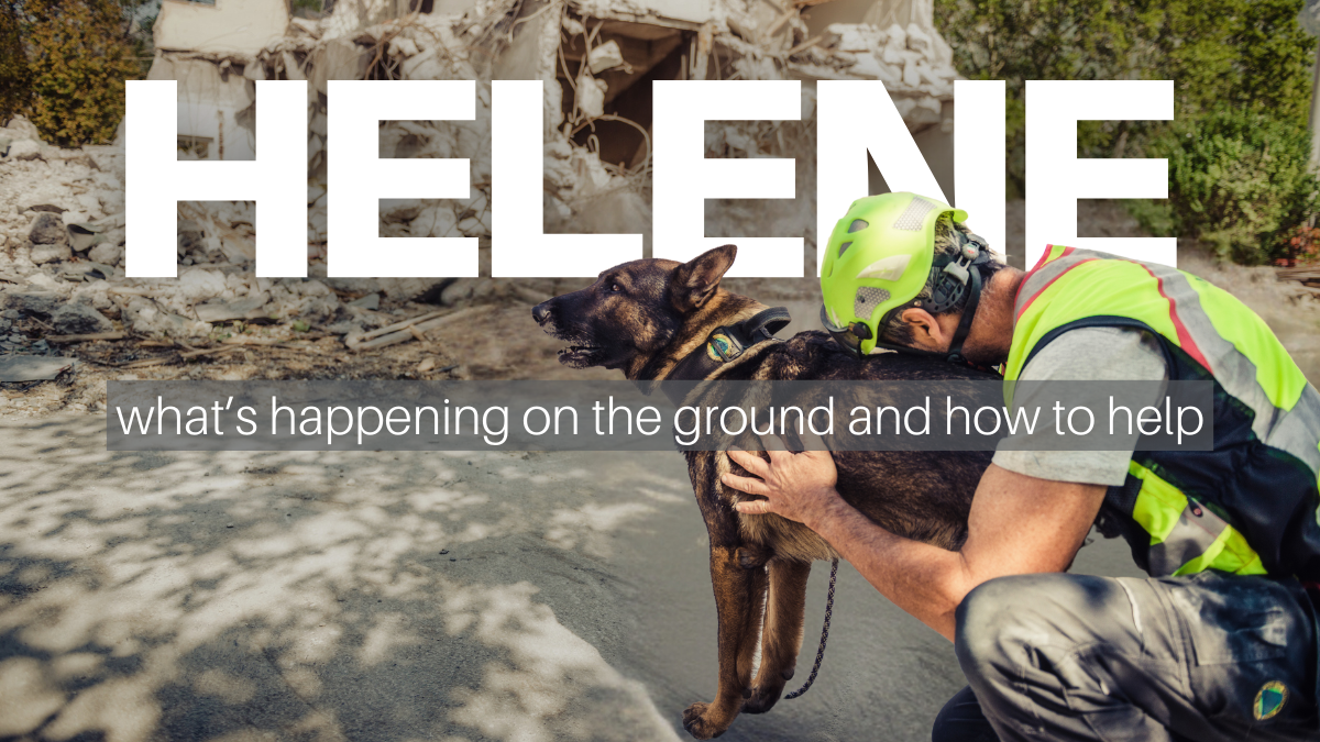 Western North Carolina after Hurricane Helene – What’s happening on the ...