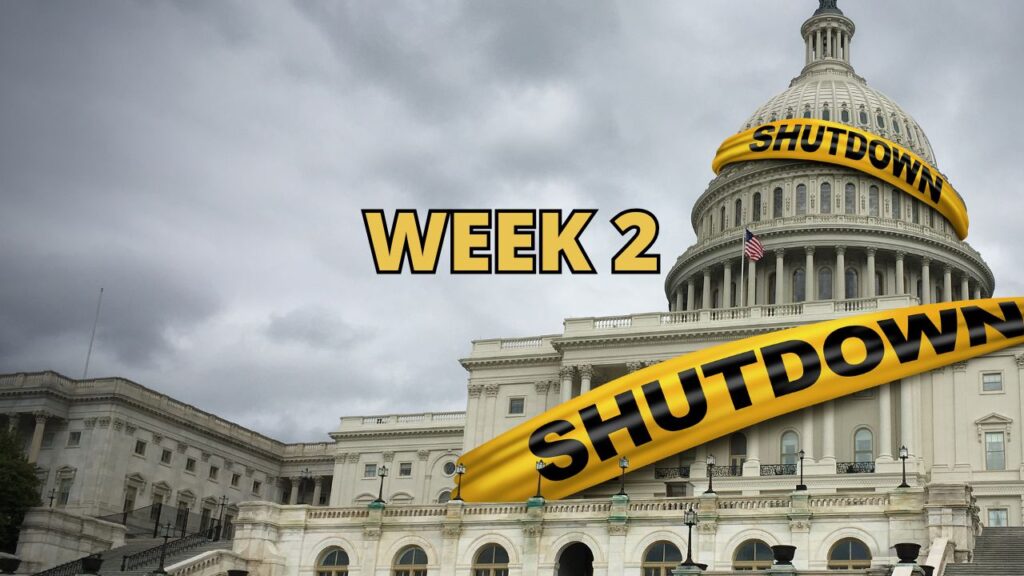 WEEK 2