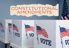 520 PNCA Blog - Constitutional Amendments