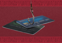 Blogs PNC-1